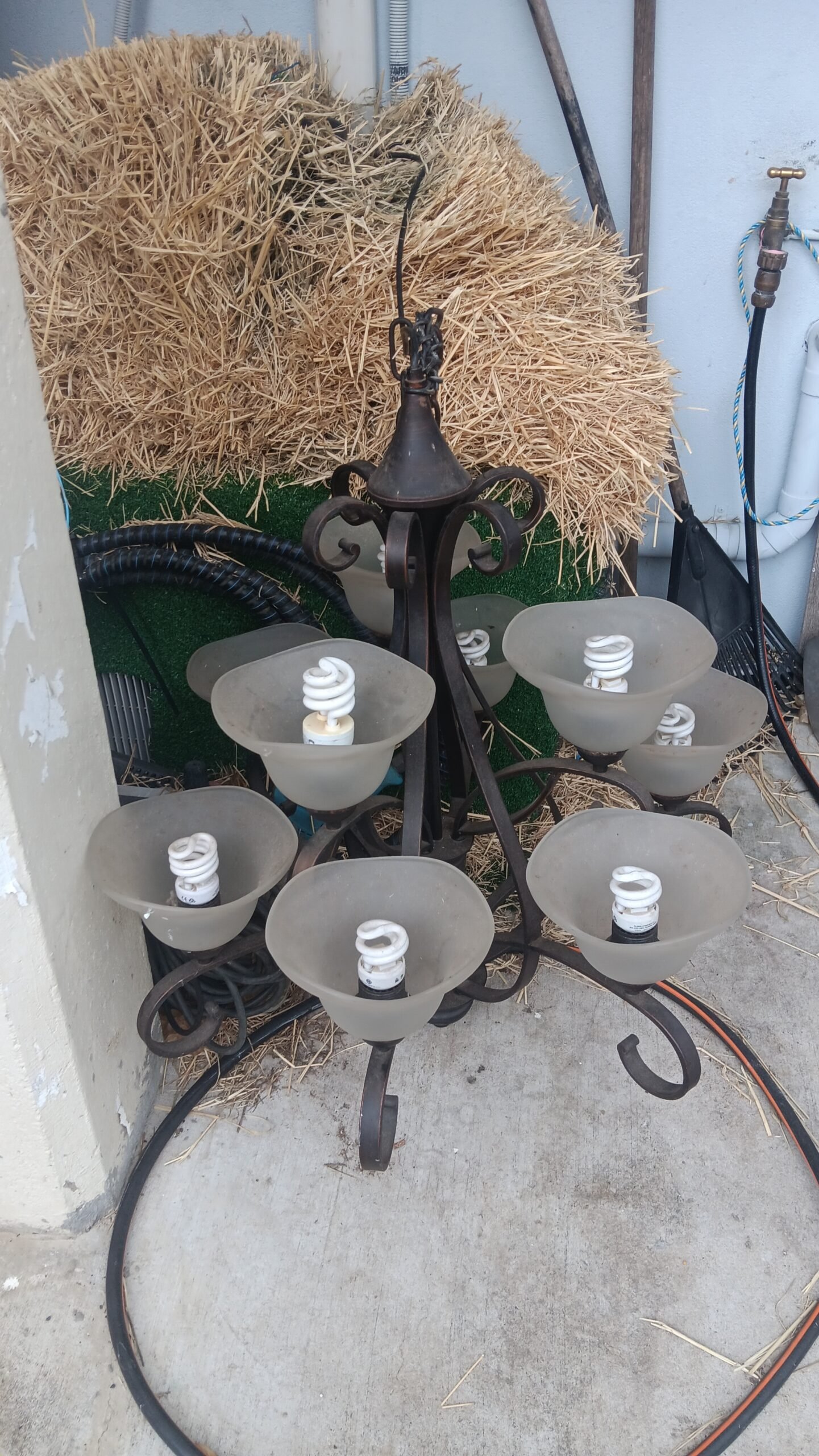 Large Wrought Iron Chandelier – 8-Light Hanging Ceiling Fixture with Frosted Glass Shades
