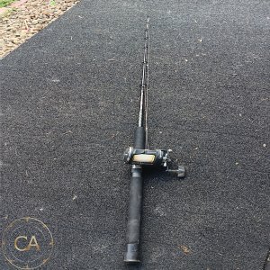 LOT 194 - Fishing Rod & Overhead Reel 