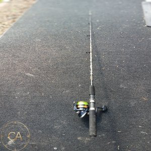 LOT 198 - Fishing Rod & Reel Combo