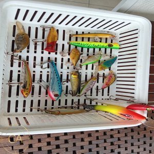 LOT 186 - Mixed Fishing lures