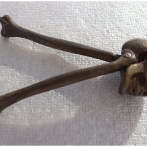 Skull nutcracker with bone handles