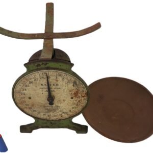 LOT 269 - Salter No.46 Household Scale with Pan — Green