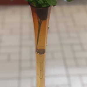 LOT 287 - Tall amber trumpet floor vase