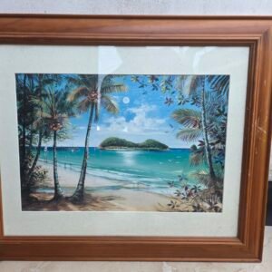 palm cove beach and double island painting framed