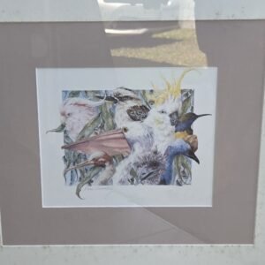 Pam Slattery Australian birds print