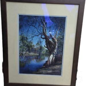 Australian gum tree pastel artwork