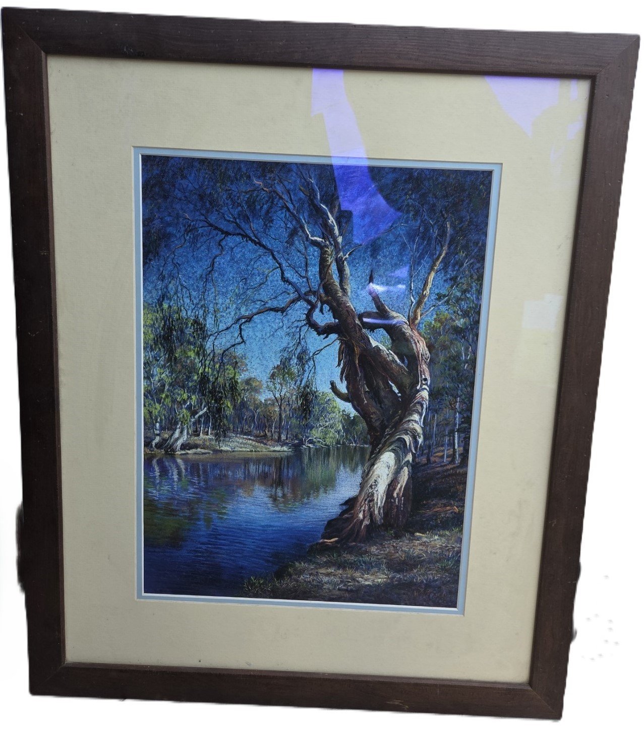 Australian gum tree pastel artwork