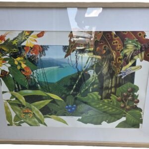 David Stacey rainforest print framed artwork