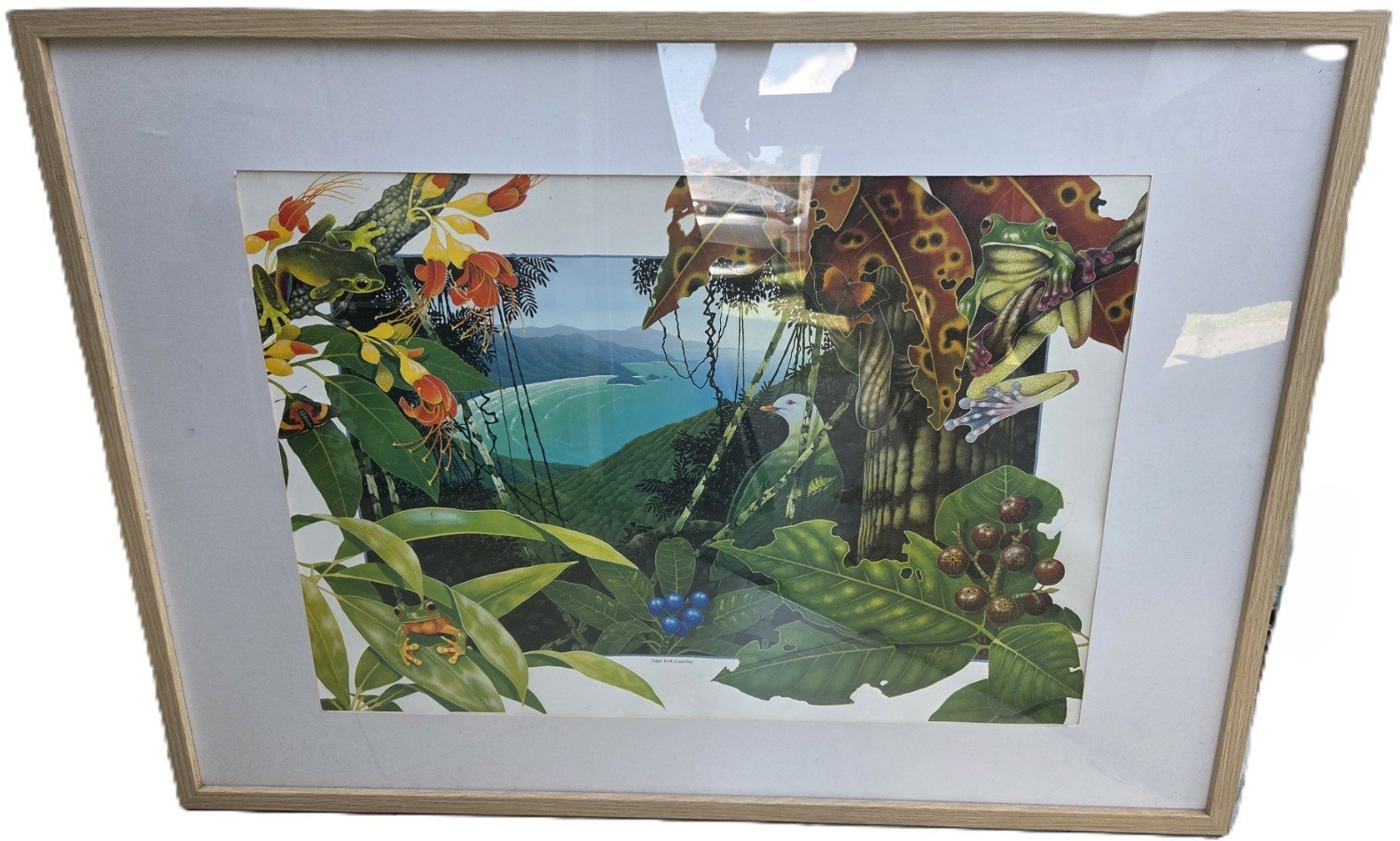 David Stacey rainforest print framed artwork