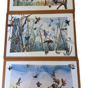 Set of three framed Australian wildlife art prints