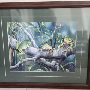 Framed Helen Jenny Barker wildlife print of green tree frogs