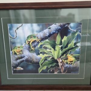 Framed Helen Jenny Barker print of green tree frogs and staghorn fern