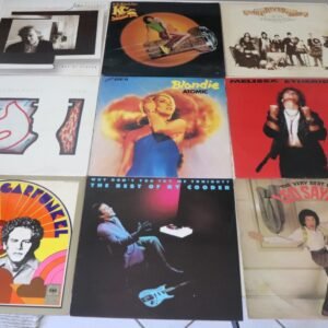 Classic Pop & Rock Vinyl Records