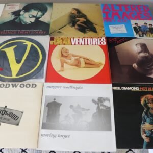 Front covers of nine assorted vinyl albums including Terence Trent D’Arby, Neil Diamond, and The Ventures