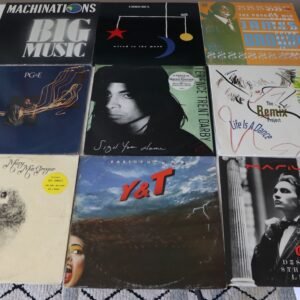 Front covers of nine vinyl albums including Machinations, James Brown, Chris Rea and Terence Trent D’Arby