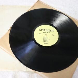 Led Zeppelin 1975 Spindizzie bootleg vinyl record