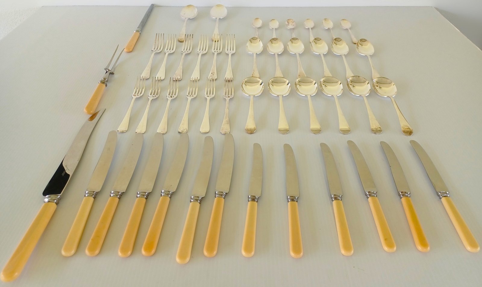 Vintage Bone-Handled Cutlery Set in Wooden Canteen - Image 2