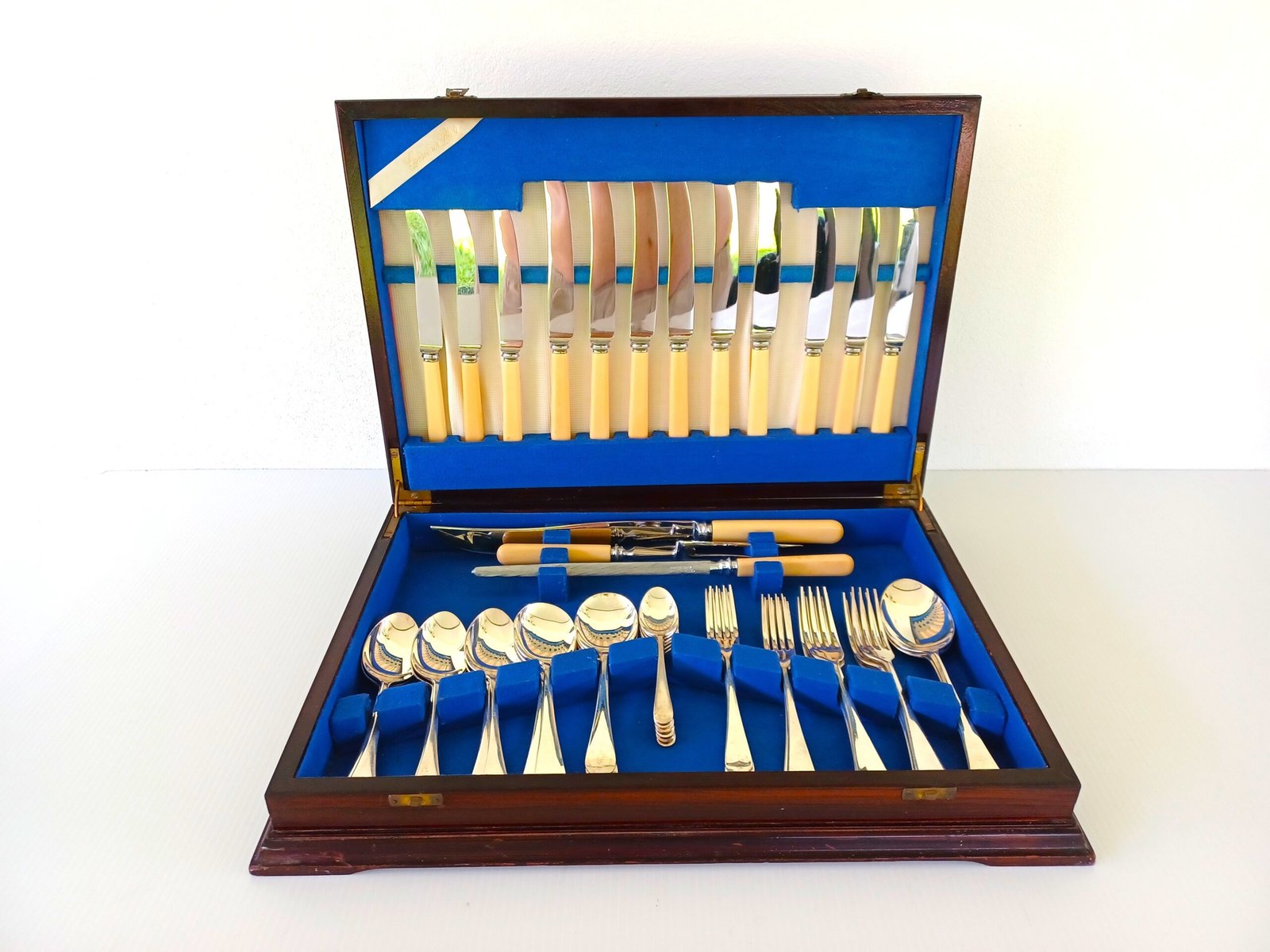 Vintage Bone-Handled Cutlery Set in Wooden Canteen