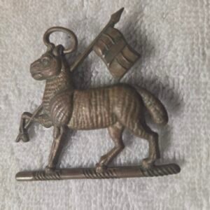 Springbok military badge with flag reverse view