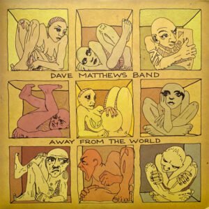 Dave Matthews Band Away from the World vinyl front cover