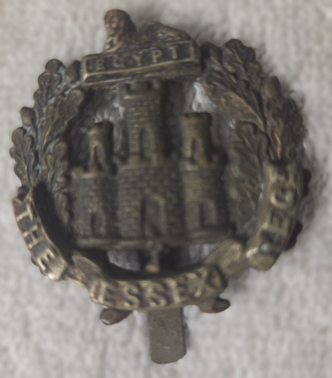 Reverse of Royal Sussex Regiment military cap badge with pin