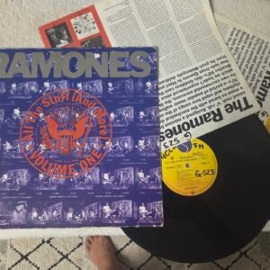 Ramones double vinyl compilation album