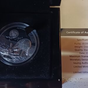 Australia at Night Kangaroo 2019 black proof silver coin